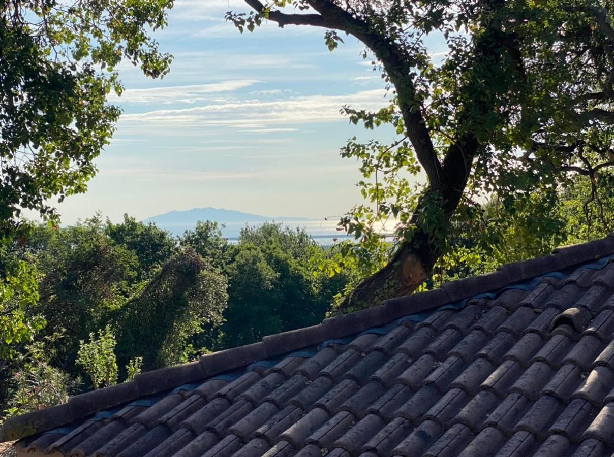 Les Chalets Des Iles 보르고 외부 사진