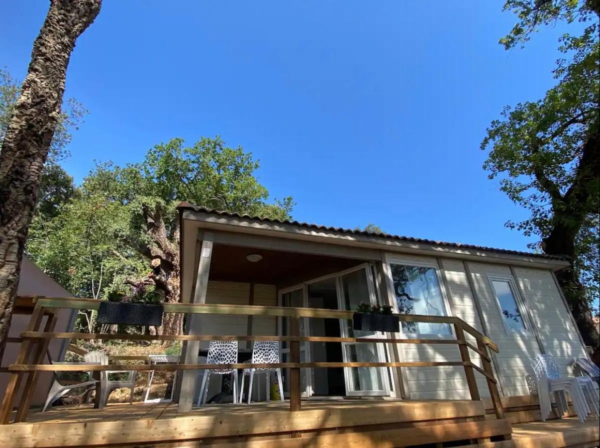 Les Chalets Des Iles 보르고 외부 사진