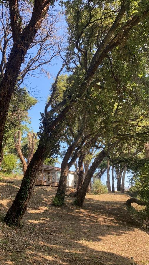 Les Chalets Des Iles 보르고 외부 사진